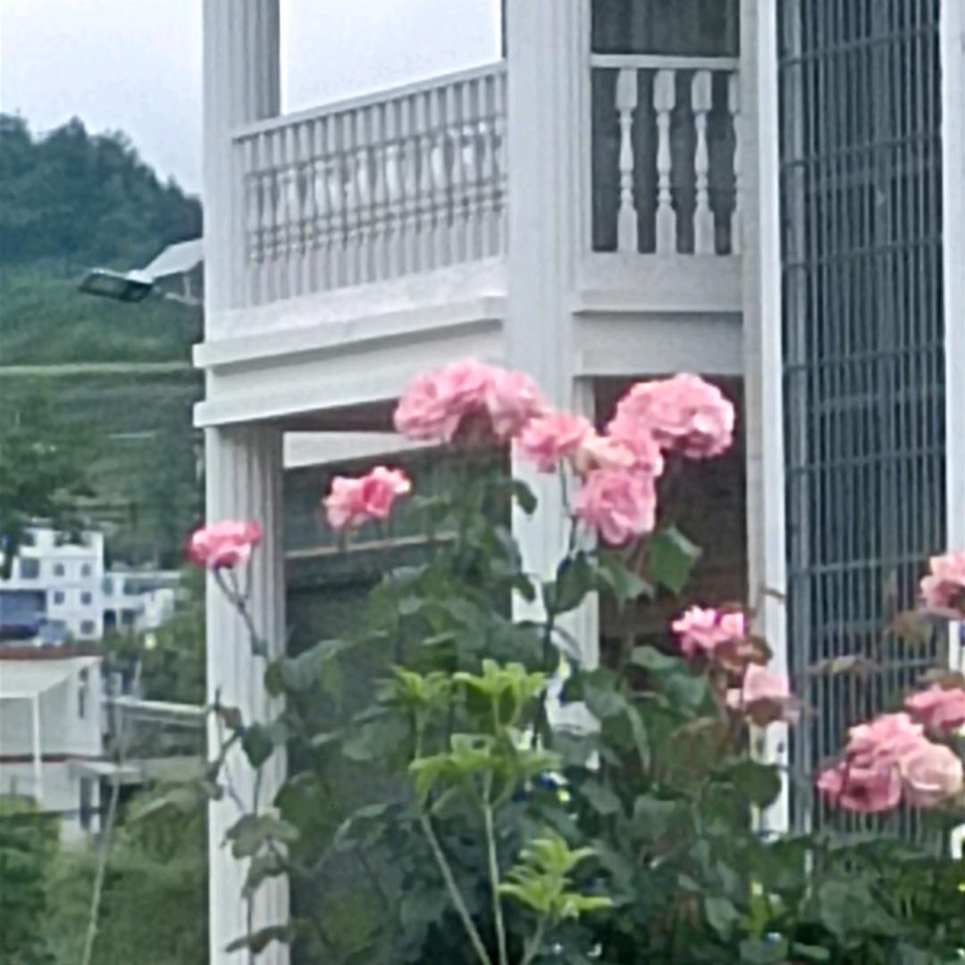 三哥