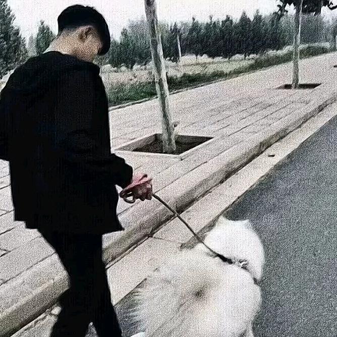 小程也迷茫