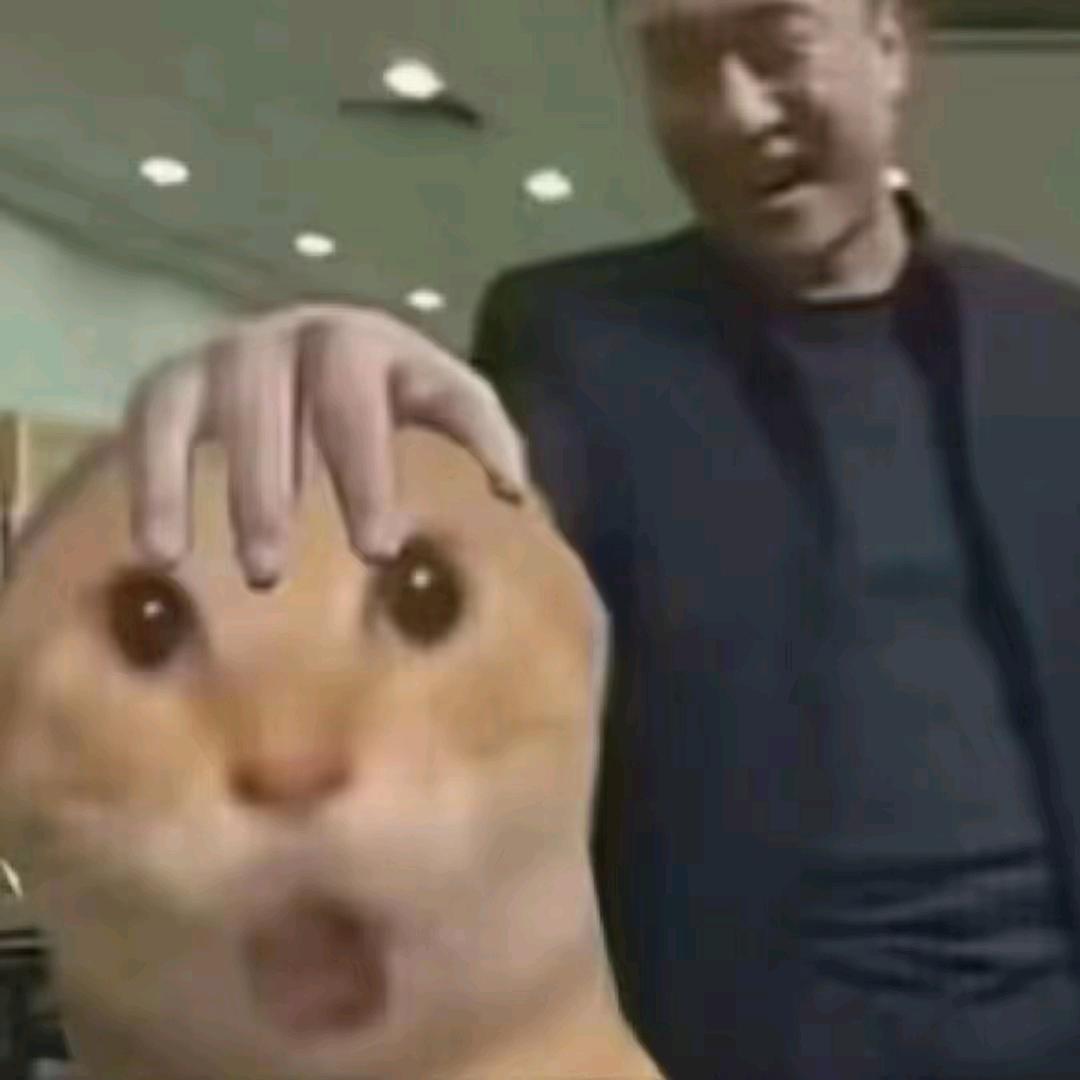 清脆岩头像