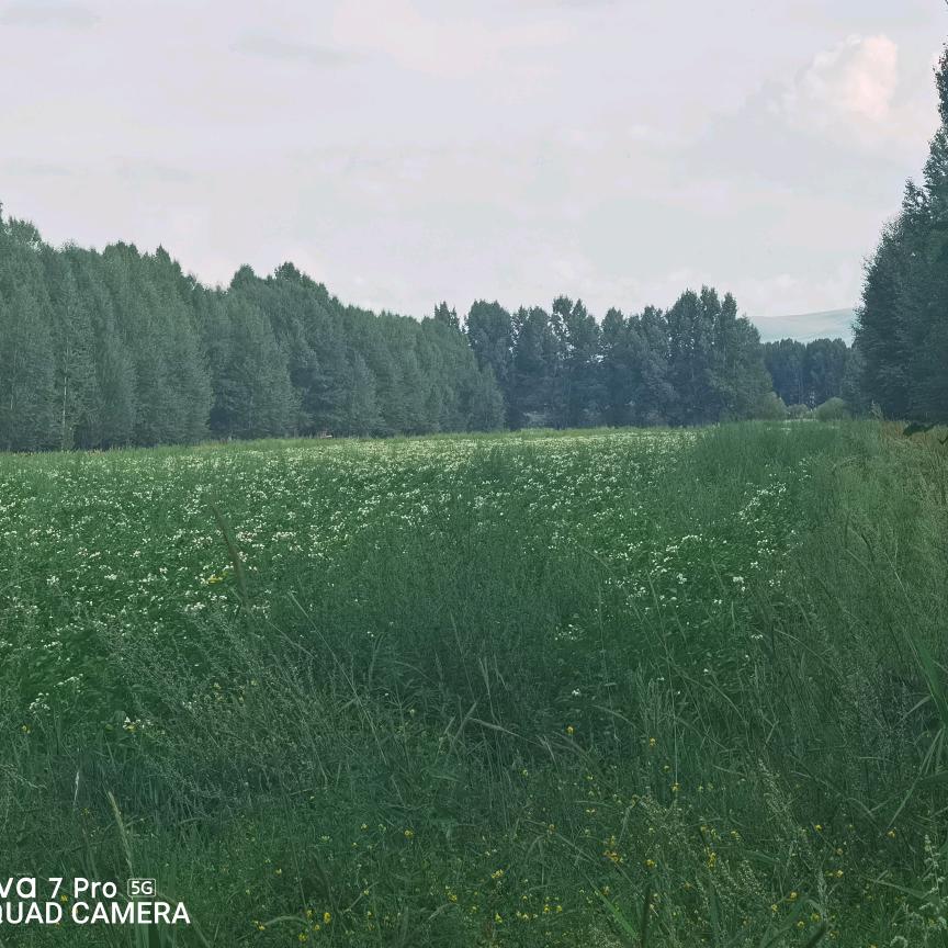 锡林浩特卖瓷砖的石头姐