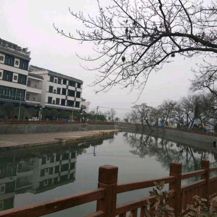 @你的网友李总
