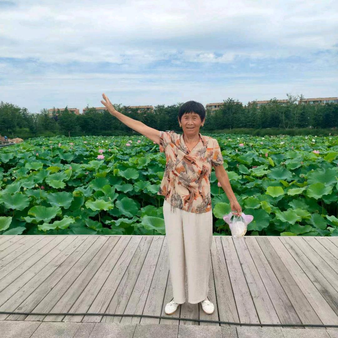 李思辰奶奶头像