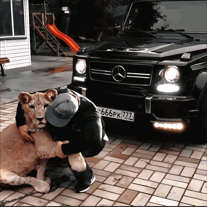 远巷有风
