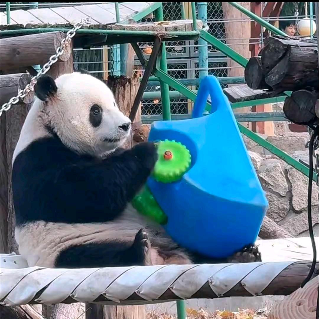 都可