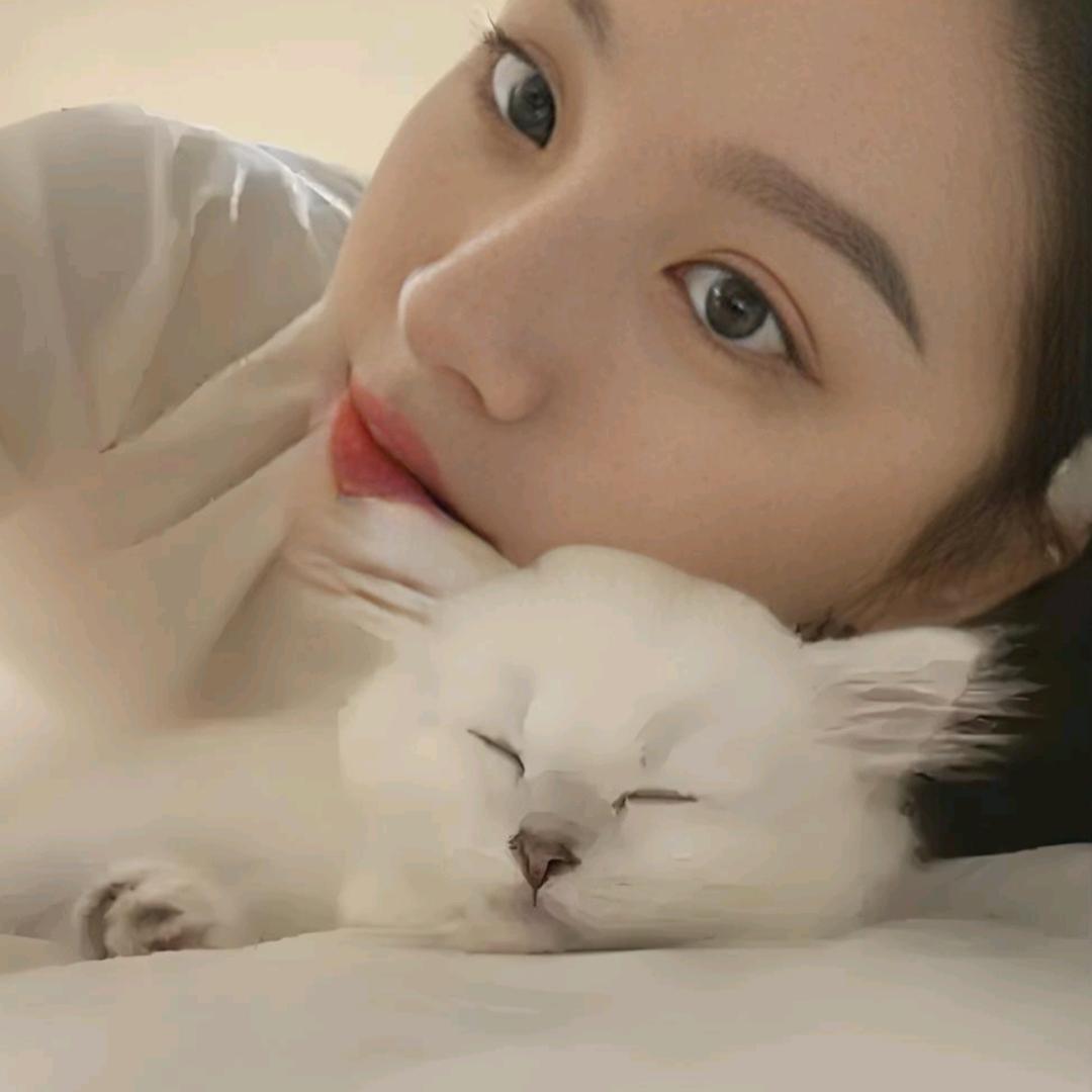 小橙子 vip