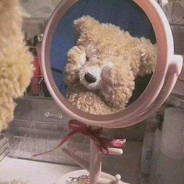 Dianes灬单恋