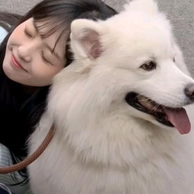 ꒦ິ⌓꒦ີ头像
