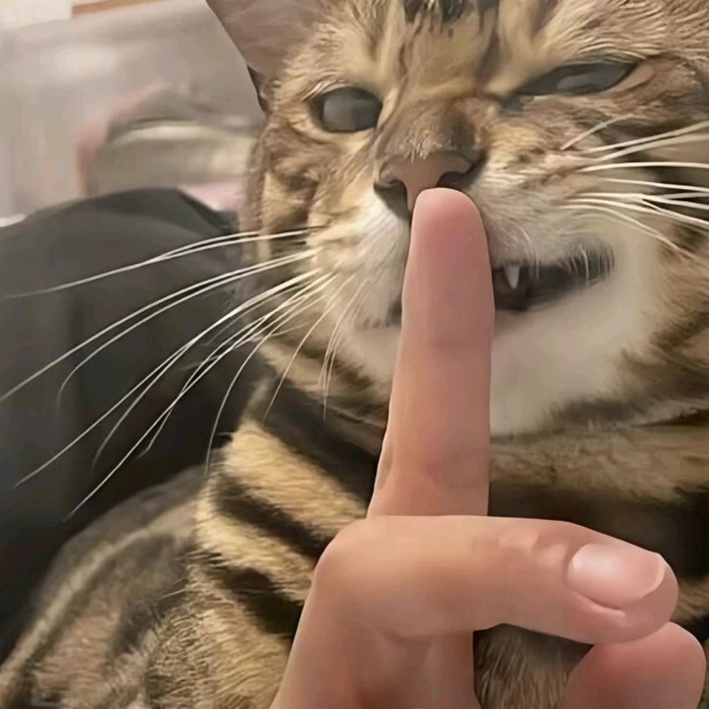 摆烂到无聊
