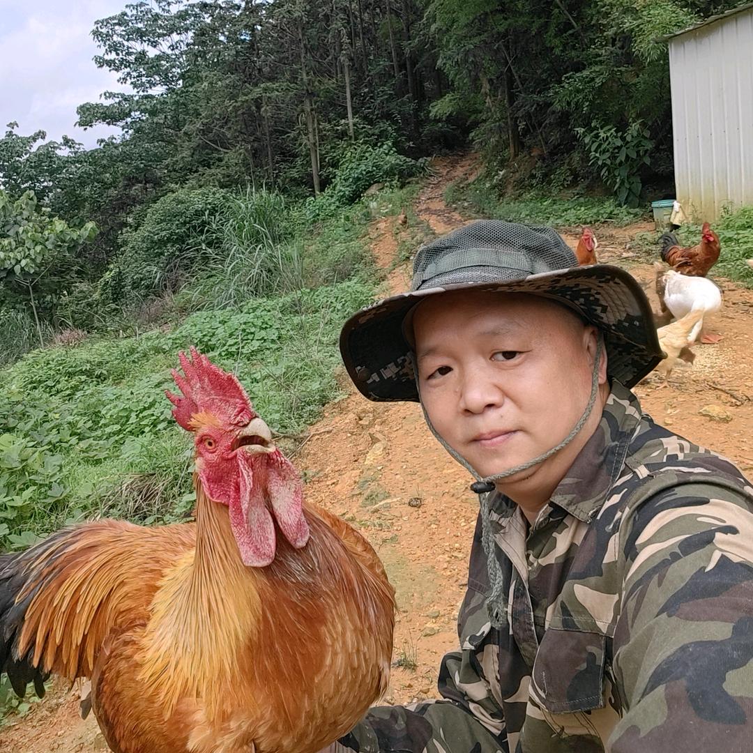 乡野老郑生态养殖农场