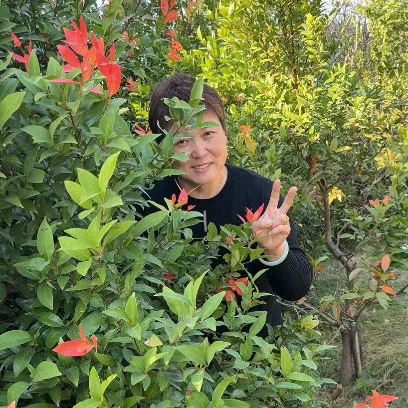 邵丽