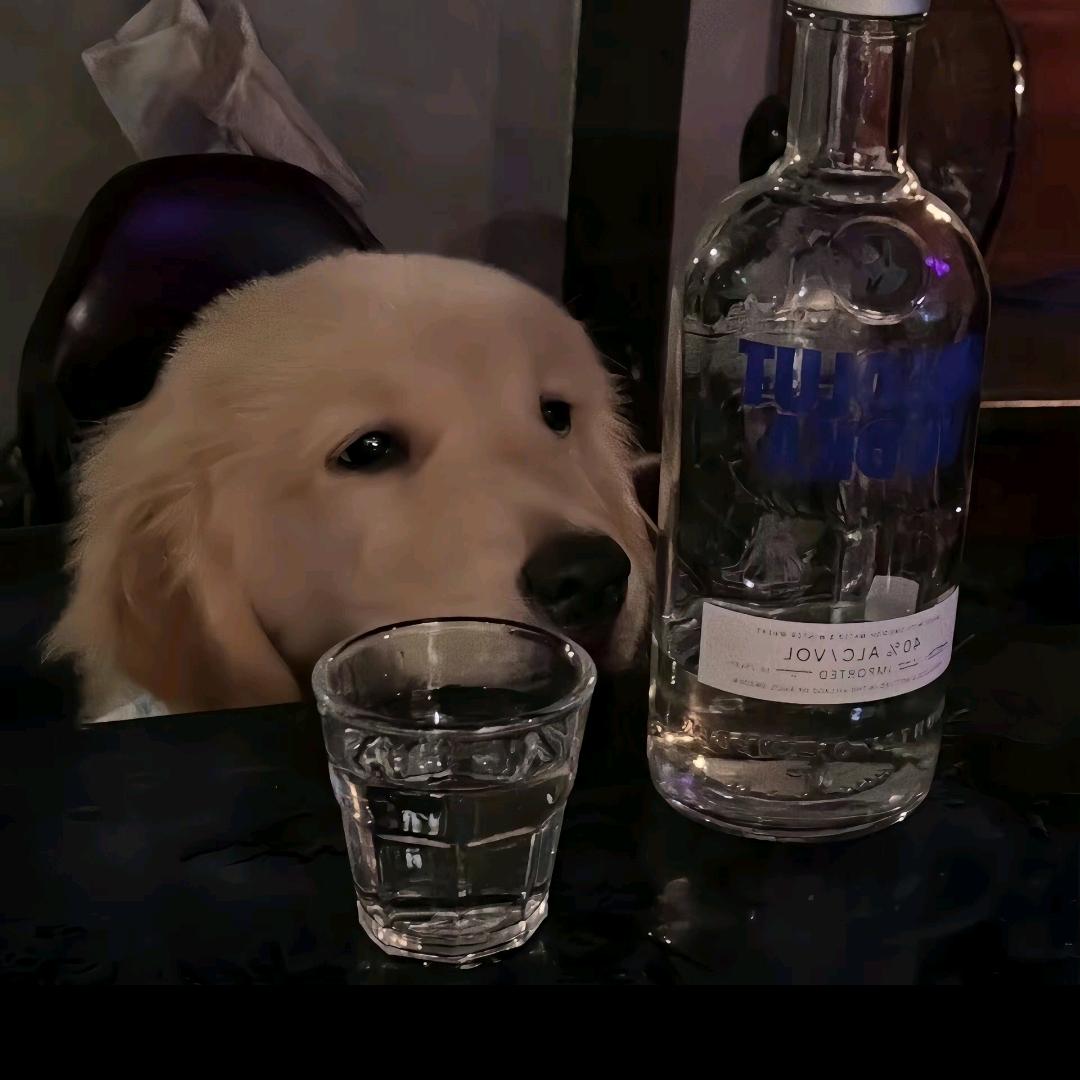 肥肠煎蛋