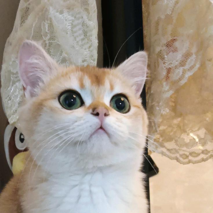 好运