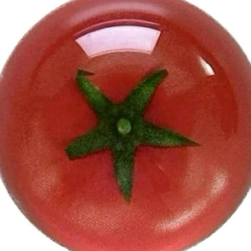 番茄小禹🍅