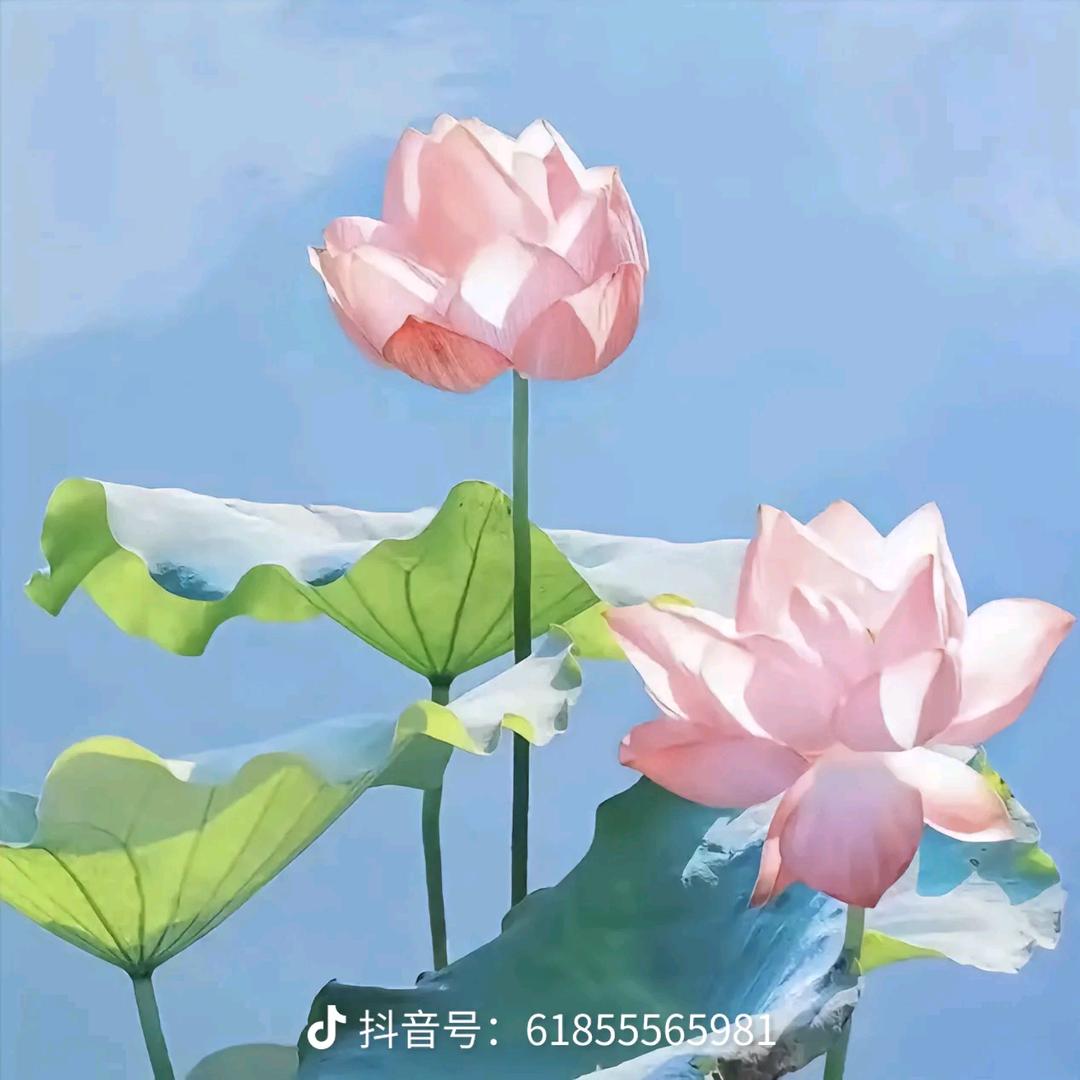 小敏～