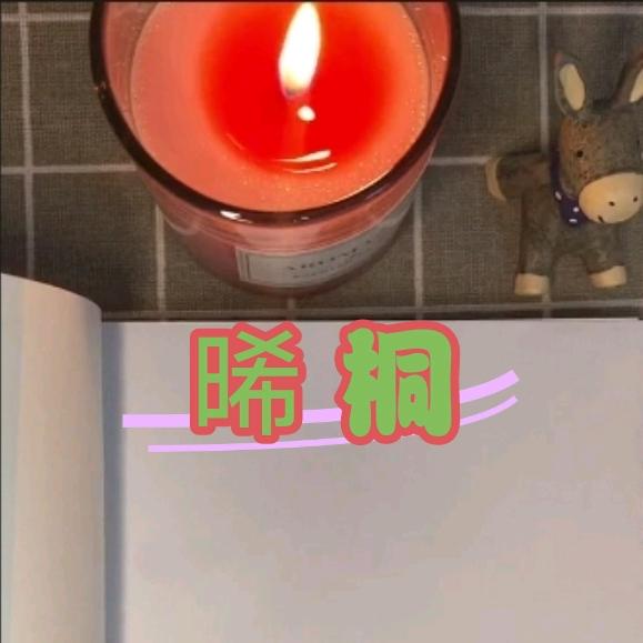 夏晞桐