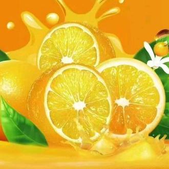 🍉 ⁸⁴²⁴☘️