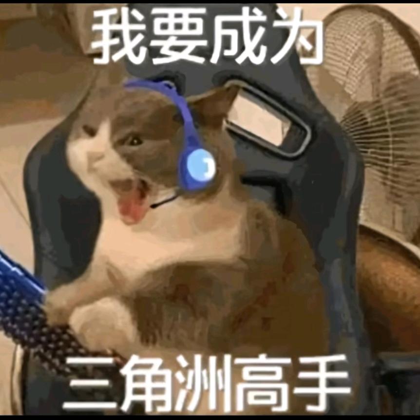 安安（三角洲行动）