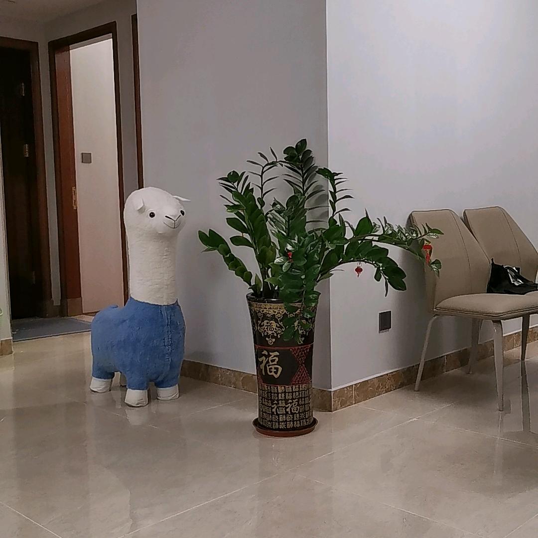 欧拉图