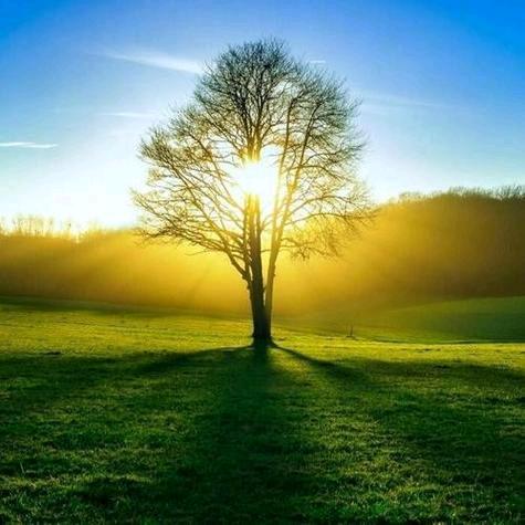 💞一心向明月💞