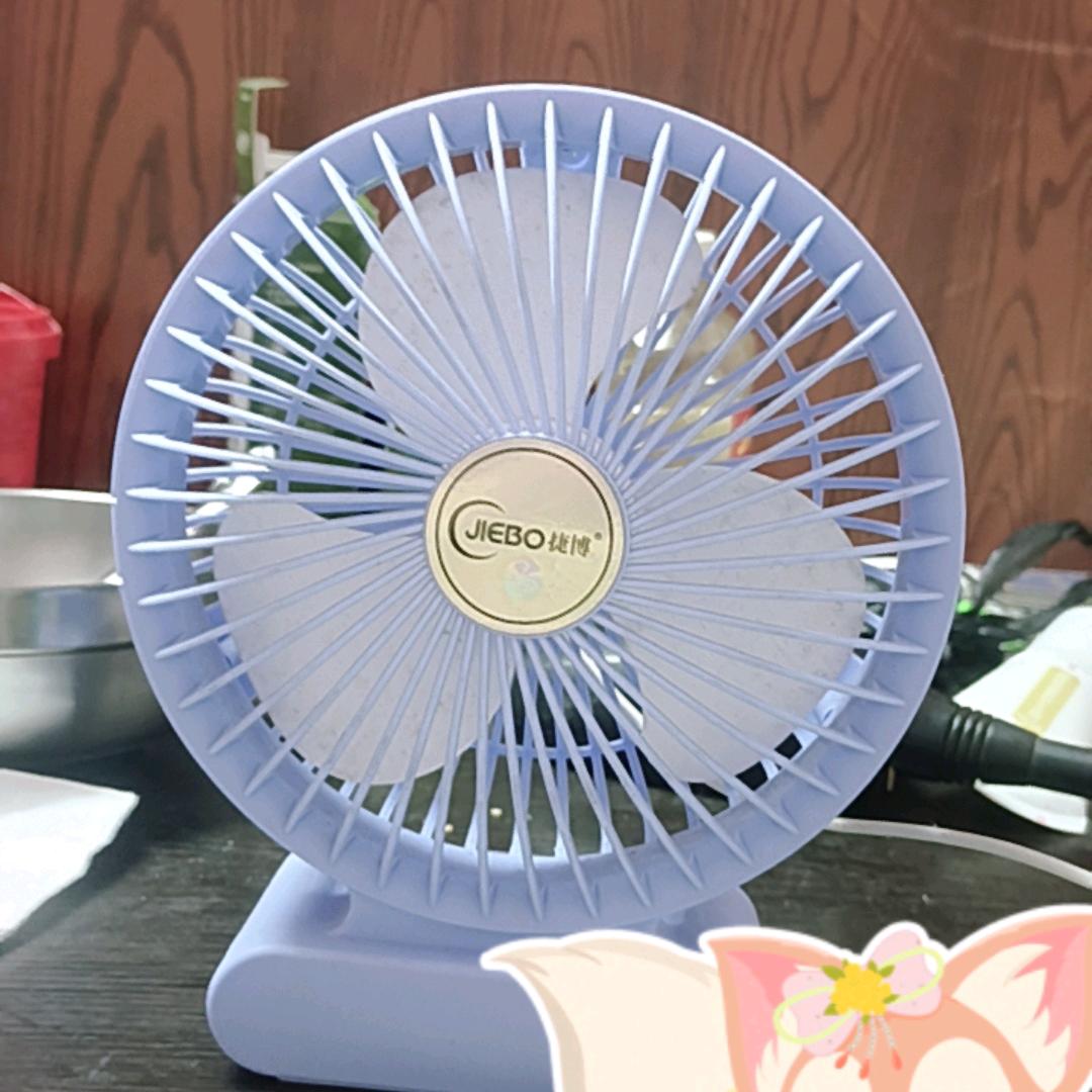 小丽
