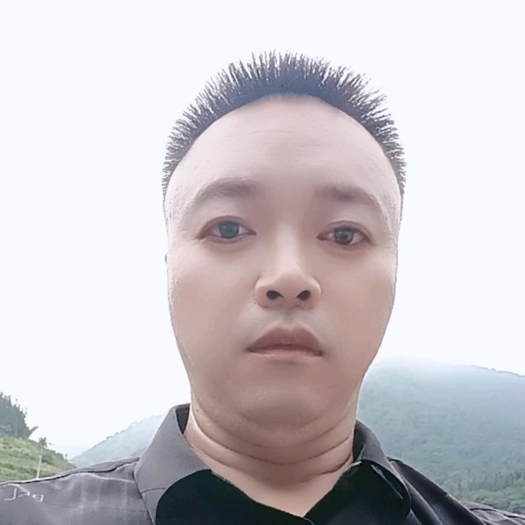 随风飘零