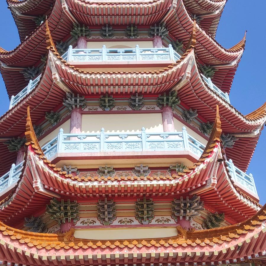 我是青山(劉)
