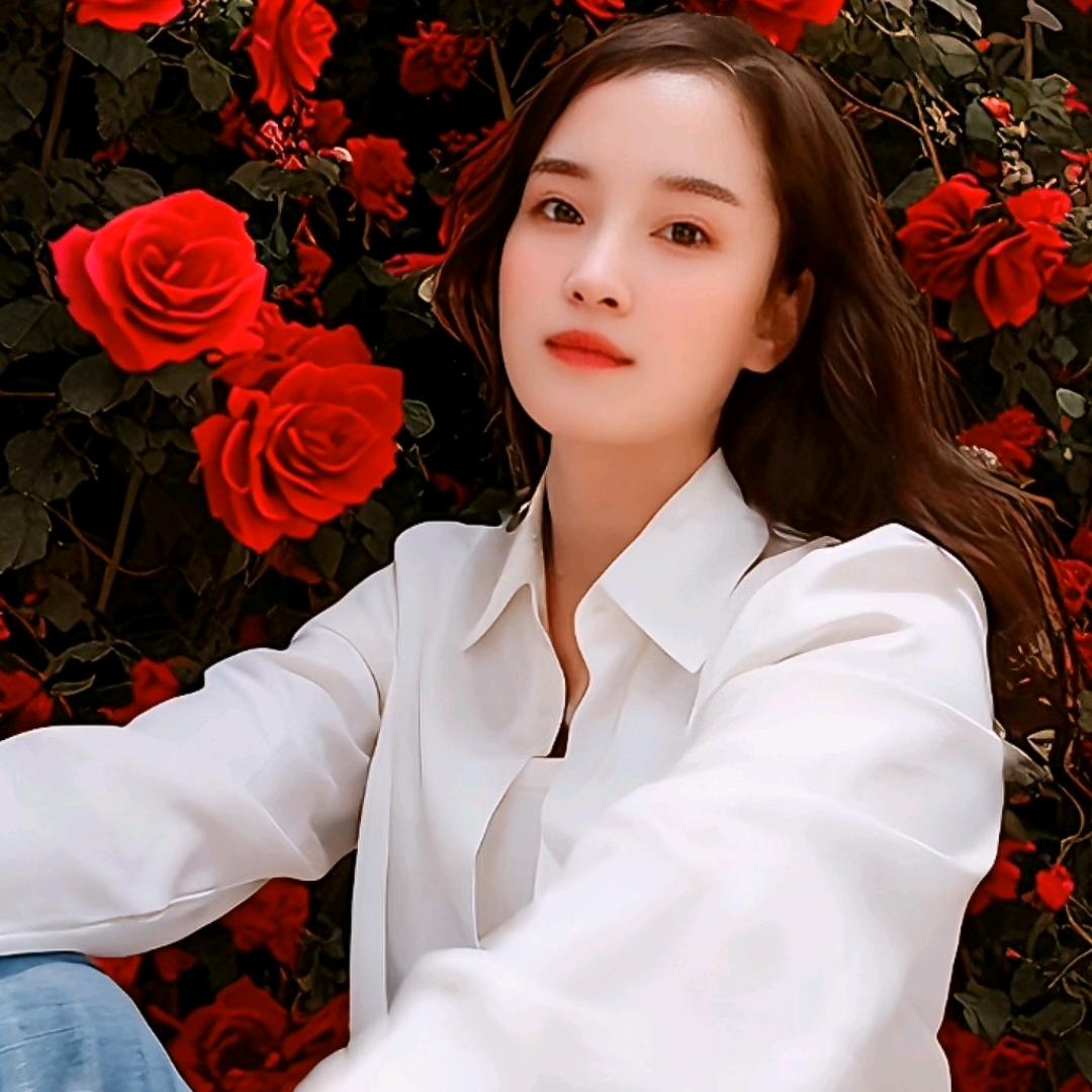 W杨杨
