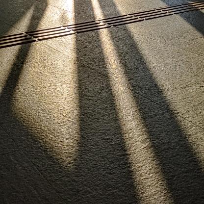 mo_
