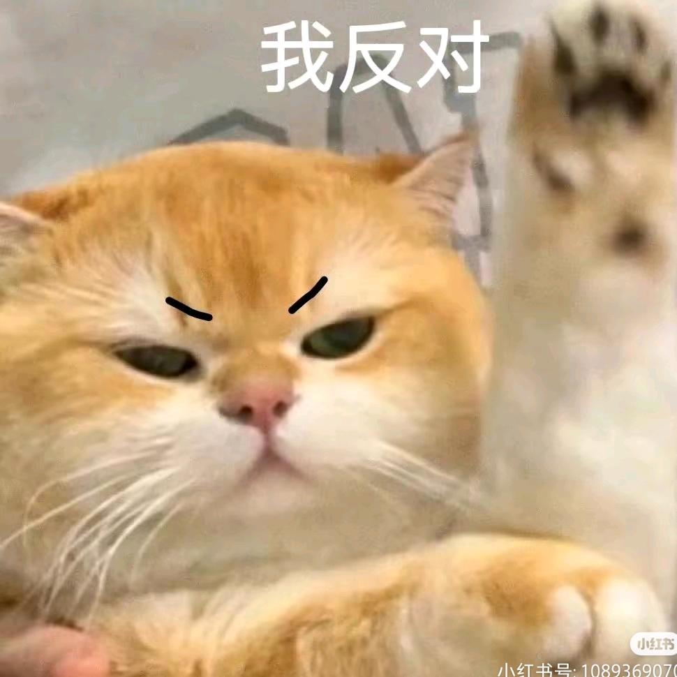 羊村小羊章鱼哥