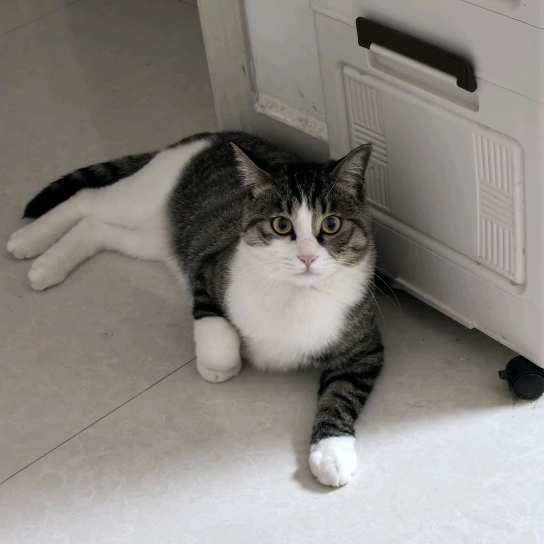 🐱咪咪咪咪～
