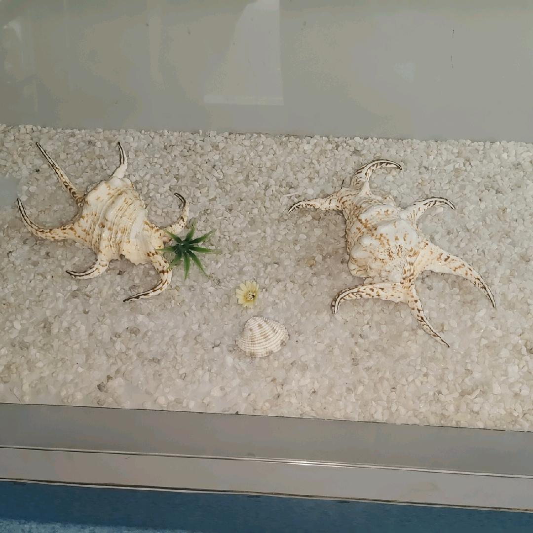 🌈稳重进财宝