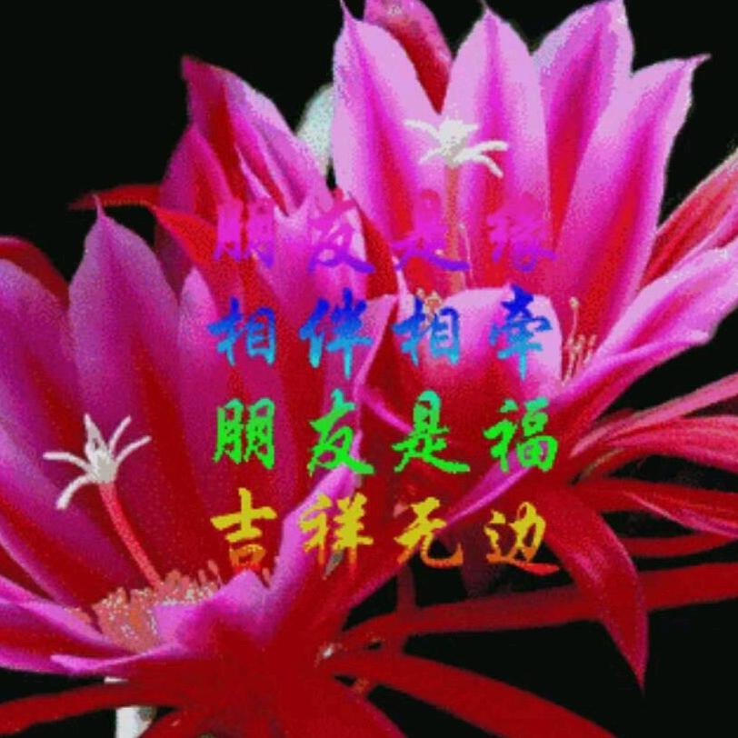 黄艳平头像