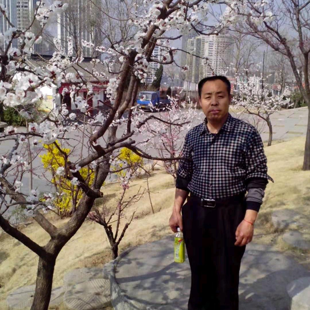 鹏程万里