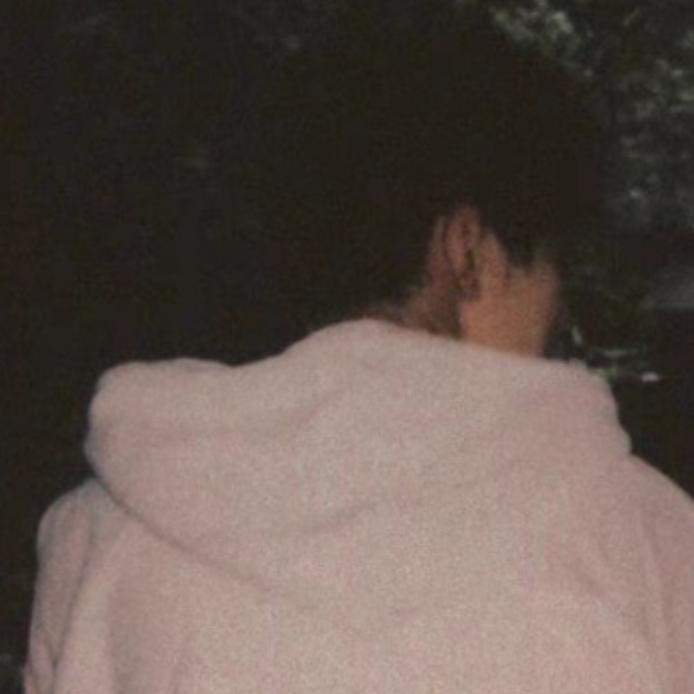 一口香菜都不吃