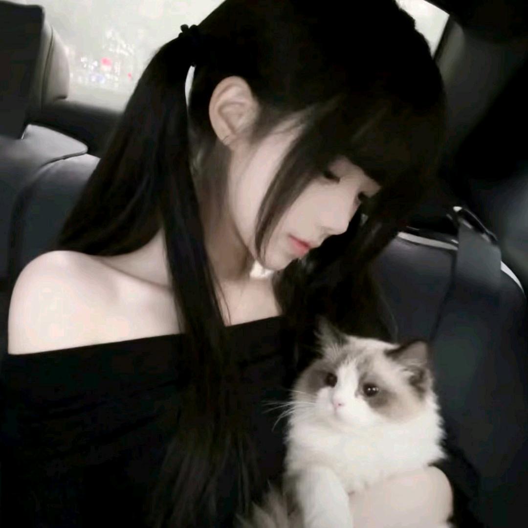 我不该在你的世界