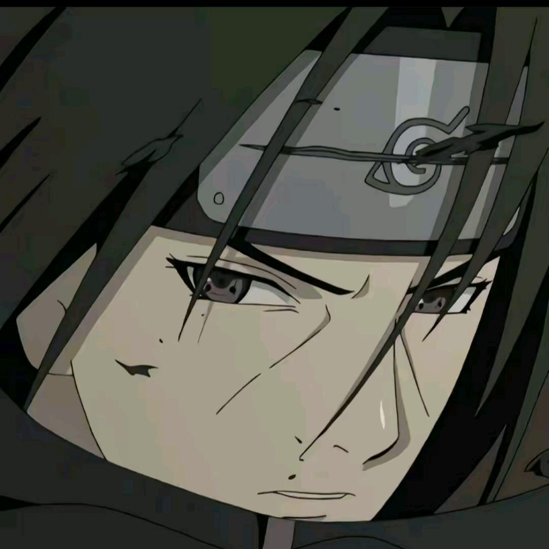 送给小乔的情书