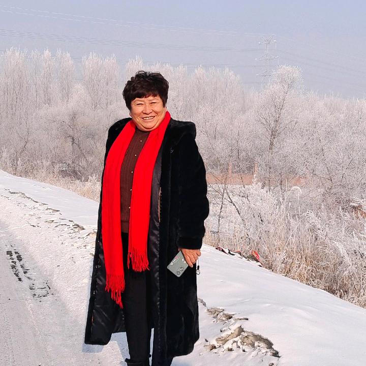 哈尔滨古典梅花香