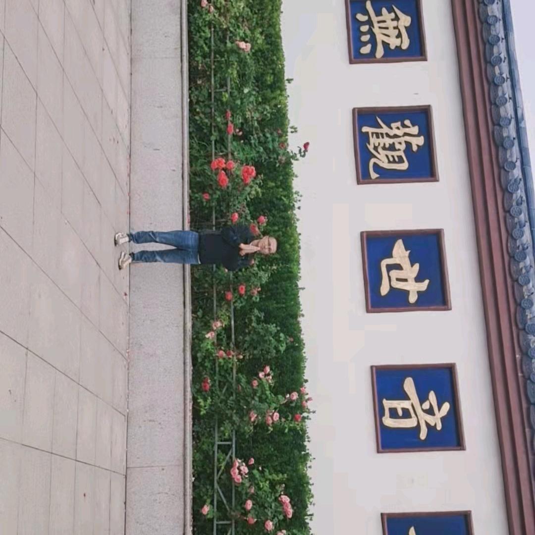 💖￡无视↘一切╮