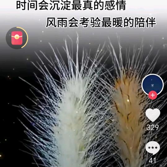 倚栏思梦