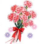 时间不会说谎🌺