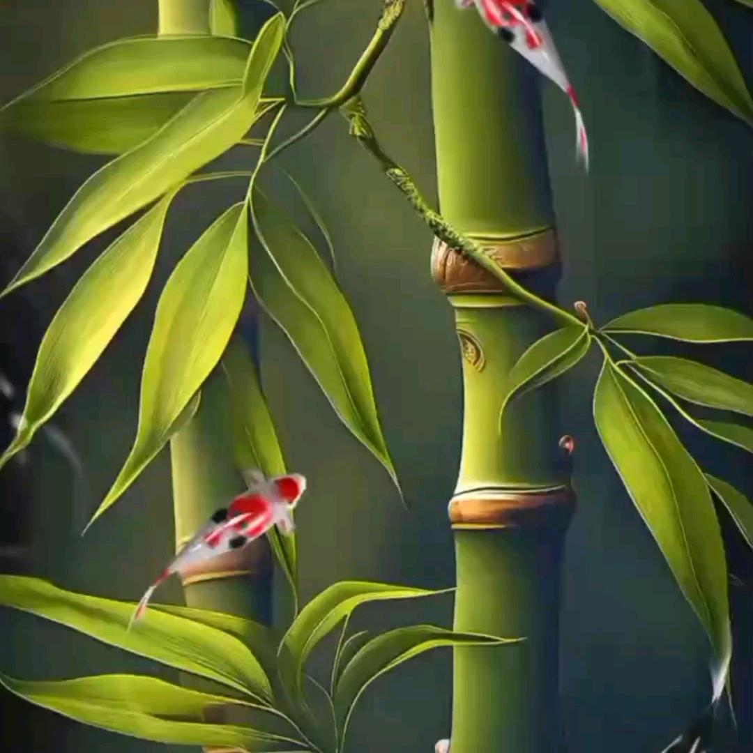 《飞天豹》[null]