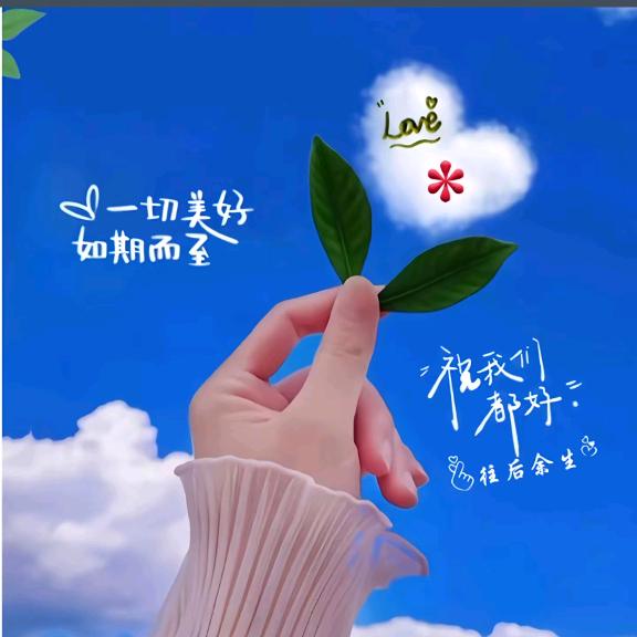 晶晶优先