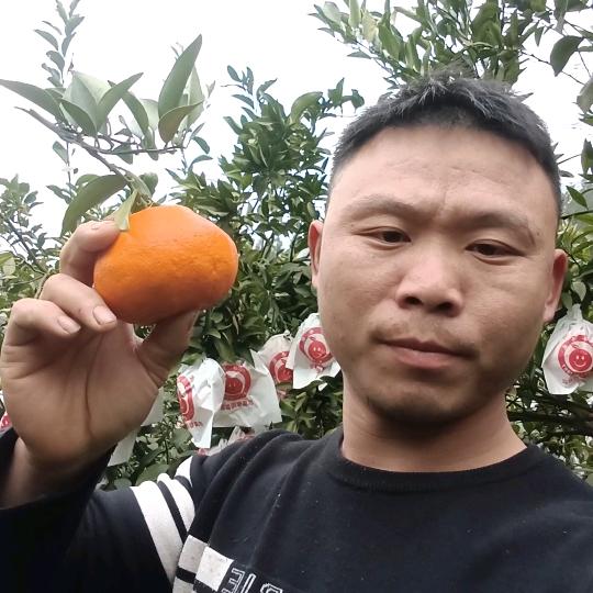 （郑青）高安水果产地直销