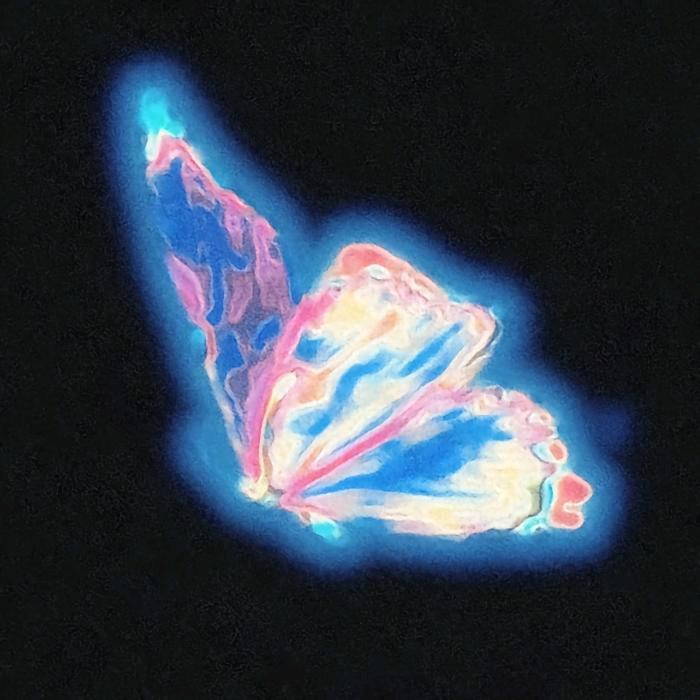 🦋.Max