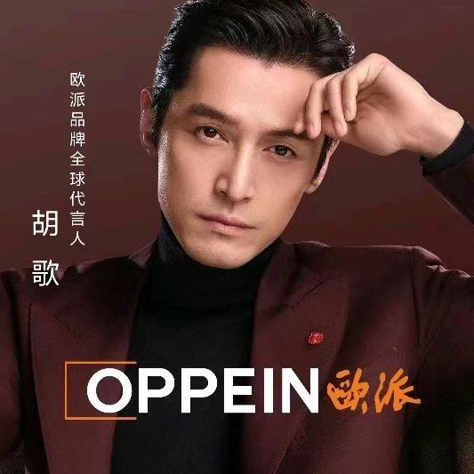 阜新欧派