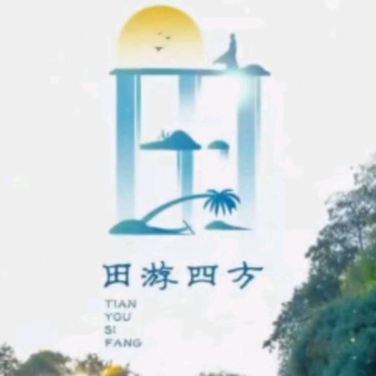 田木匠