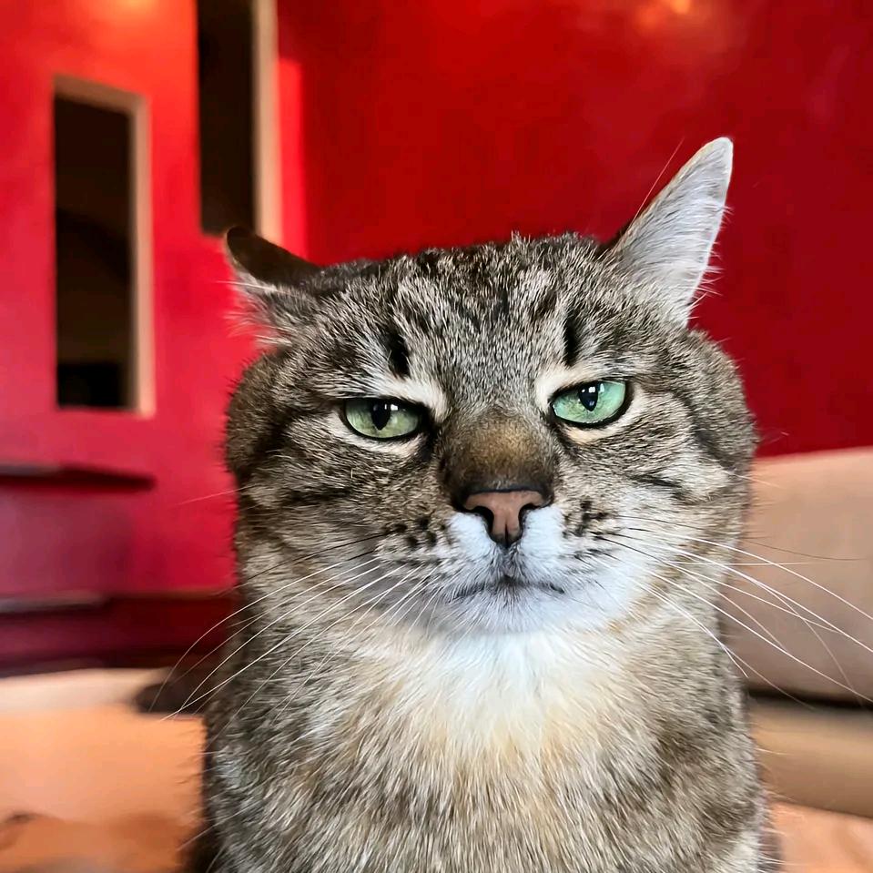 李…