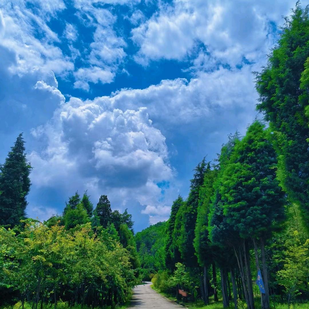 ℳღ释怀᭄²º²⁵ꦿ࿐