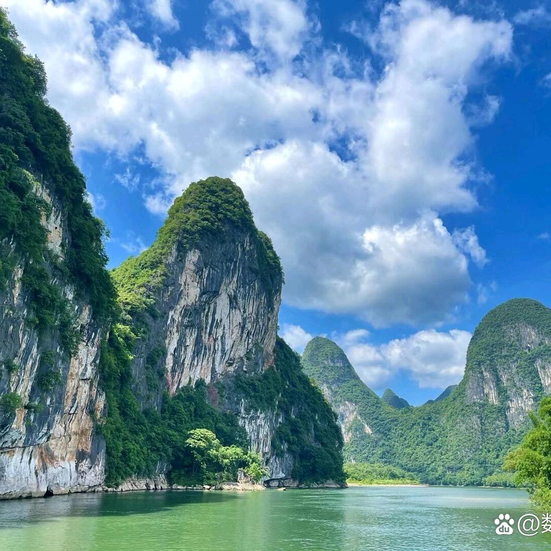 我本一身傲骨