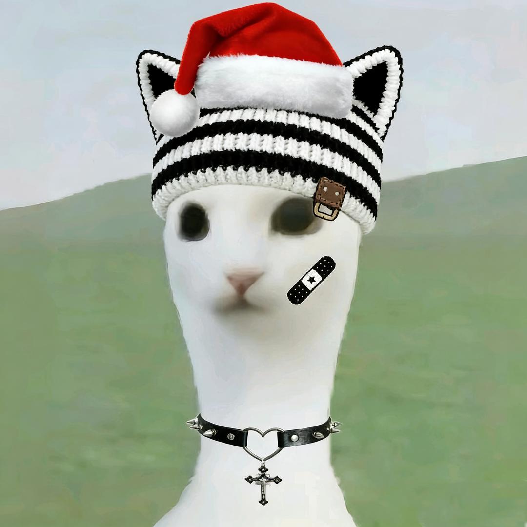 雯雯吖（被刘端端回复两次版）